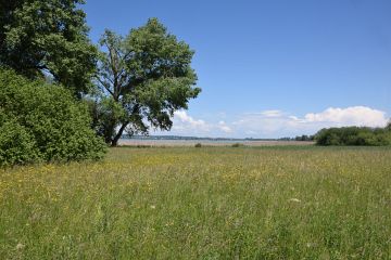 Bild Platz