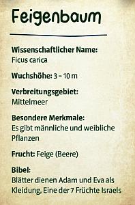 Feigenbaum
